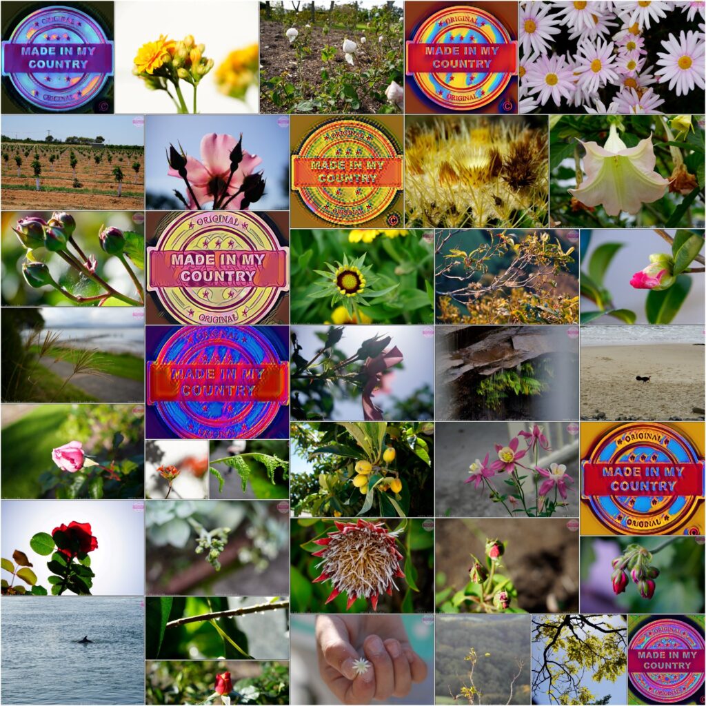 Made in Oceania! MadeinMycountry is a global platform that celebrates and supports local history, culture, art and nature conservation efforts. For two decades, we have been sponsoring local museums, cultural organizations, travel destinations, historical sites and various cultural events around the world.